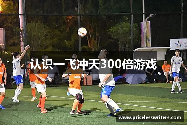 认识一飞冲天300倍游戏